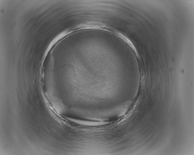 X0000087601146200704271326