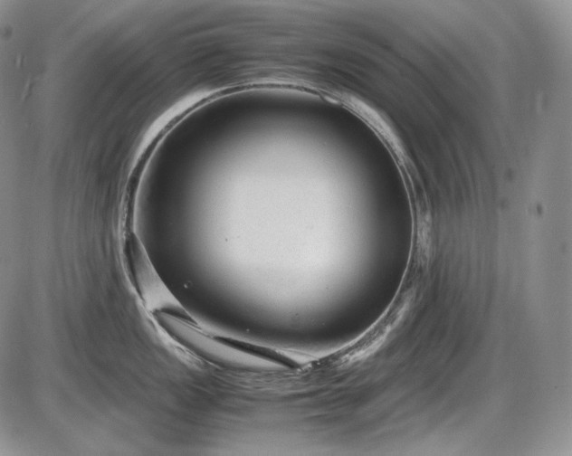 X0000087601149200704271326
