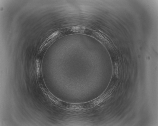 X0000087601154200704271325