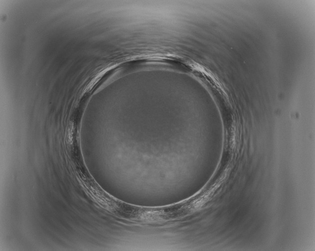 X0000087601161200704271325