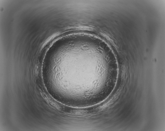 X0000087601163200704271325