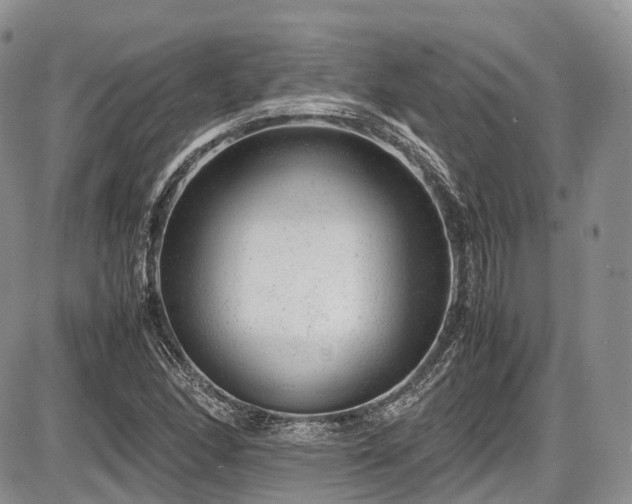 X0000087601166200704271325