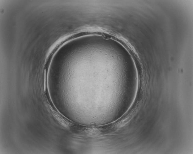 X0000087601175200704271325