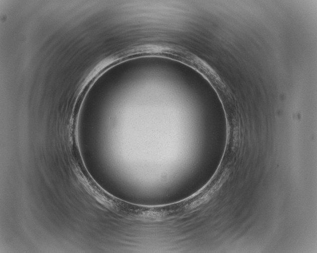 X0000087601178200704271325