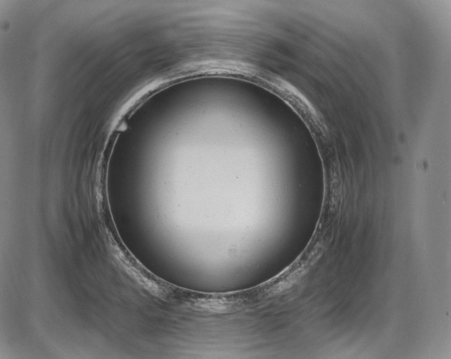 X0000087601182200704271325