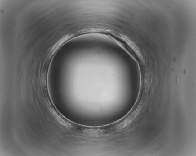 X0000087601185200704271325