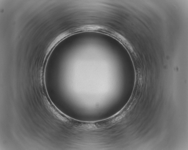 X0000087601186200704271324
