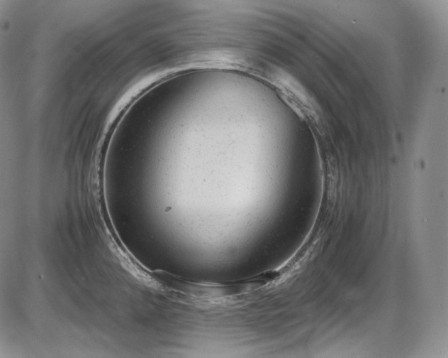 X0000087601192200704271324