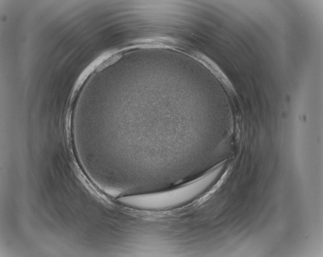X0000087601196200704271324