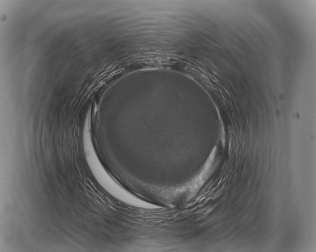X0000087601202200704271324