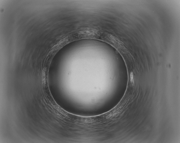 X0000087601203200704271324