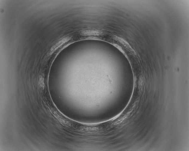 X0000087601209200704271324