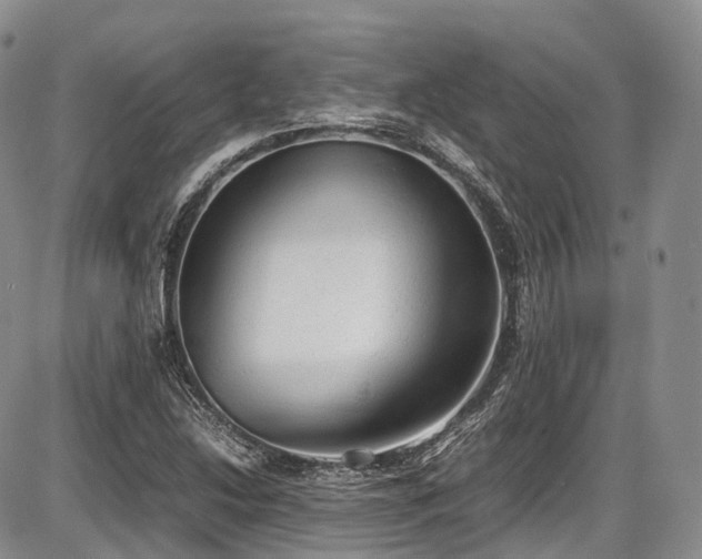 X0000087601214200704271324