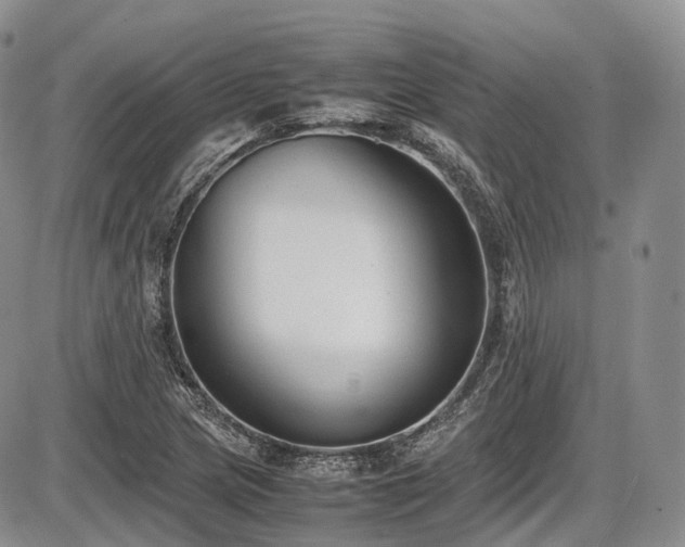 X0000087601217200704271324