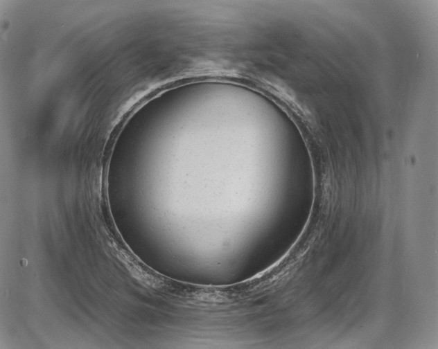 X0000087601220200704271324