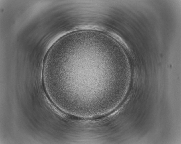 X0000087601228200704271324