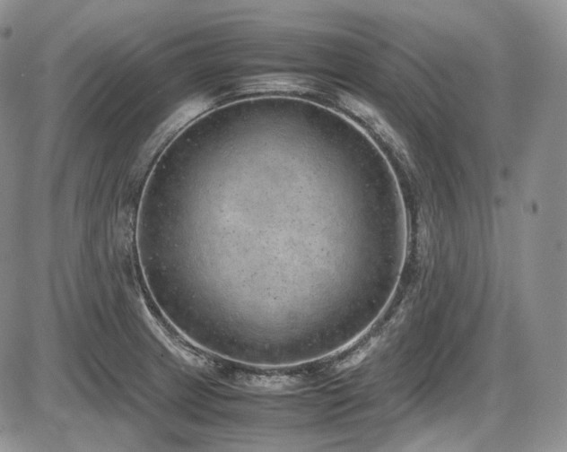 X0000087601233200704271324