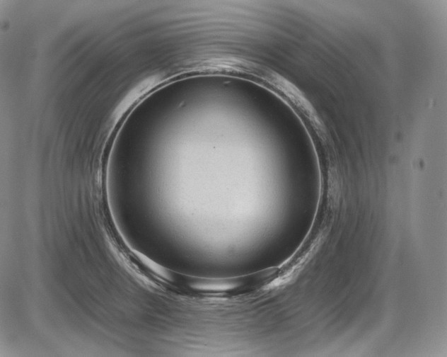 X0000087601234200704271324
