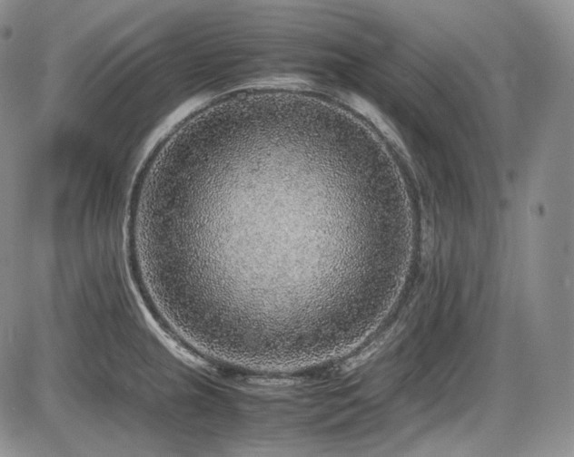 X0000087601237200704271324