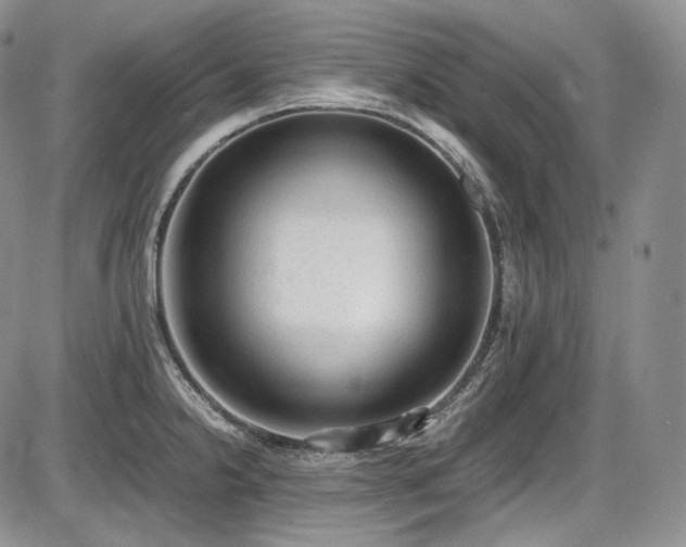 X0000087601238200704271324