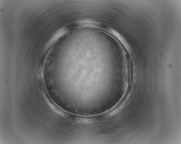X0000087601241200704271324