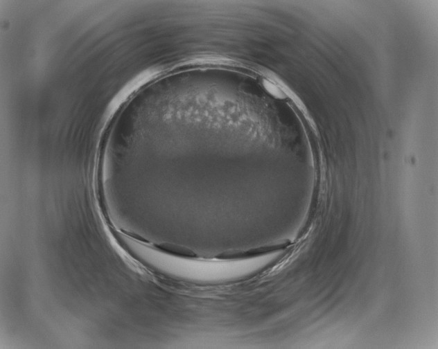 X0000087601245200704271324