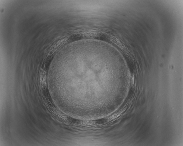 X0000087601251200704271323