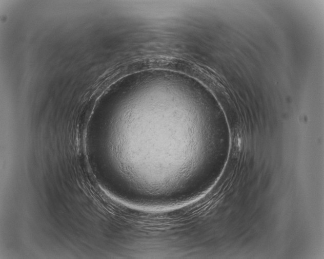 X0000087601252200704271323