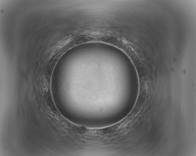 X0000087601253200704271323