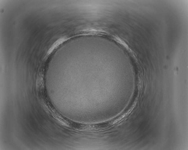 X0000087601259200704271323