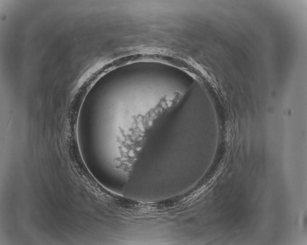 X0000087601263200704271323