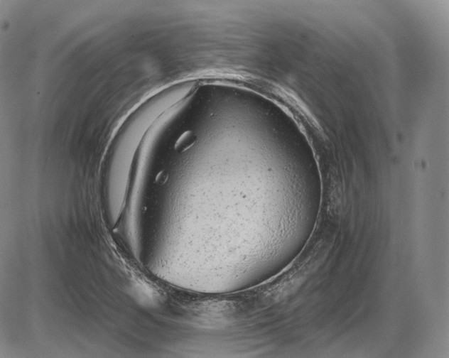 X0000087601268200704271323