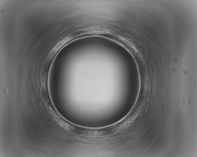 X0000087601273200704271323
