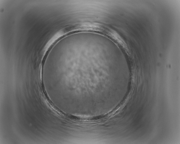 X0000087601275200704271323