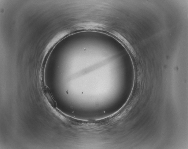 X0000087601285200704271323