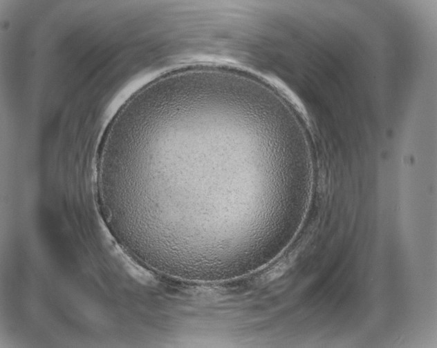 X0000087601287200704271323