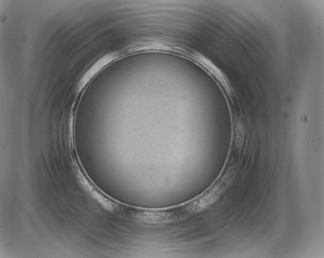 X0000087601290200704271323