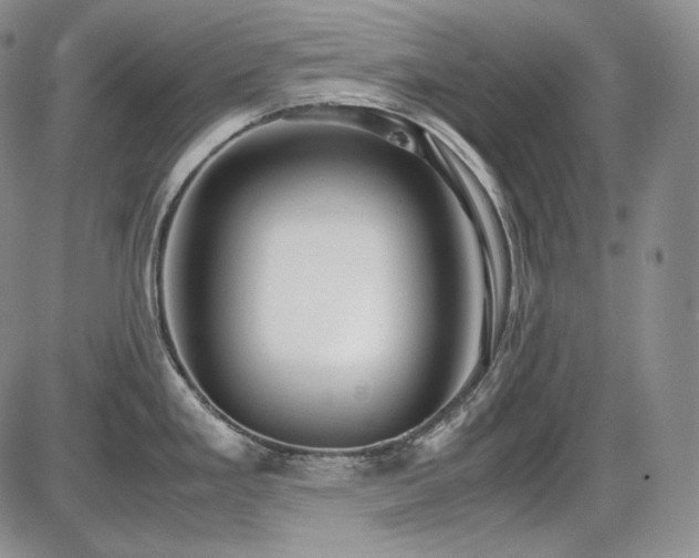 X0000087601293200704271323