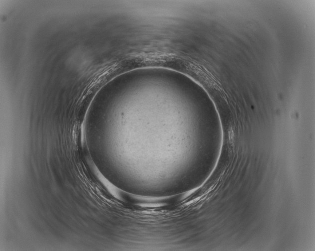 X0000087601300200704271322