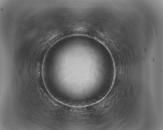 X0000087601301200704271322