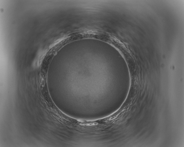 X0000087601303200704271322