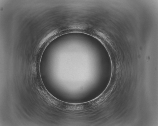 X0000087601307200704271322