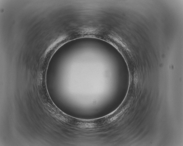 X0000087601309200704271322
