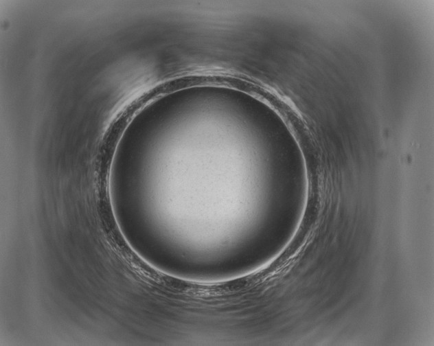 X0000087601311200704271322