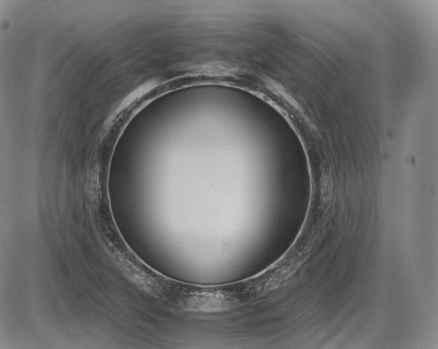 X0000087601315200704271322