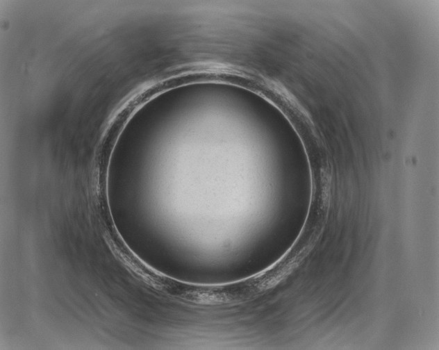 X0000087601318200704271322