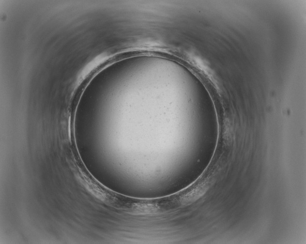 X0000087601320200704271322