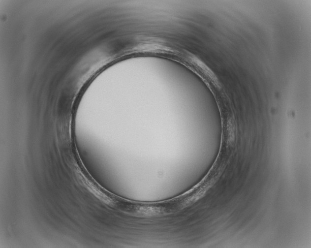 X0000087601322200704271322
