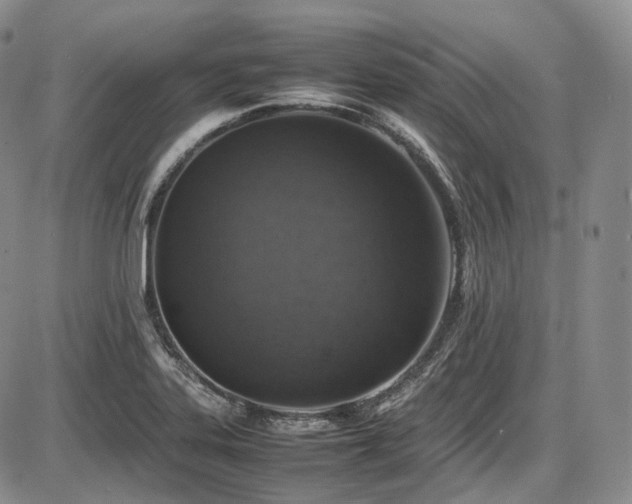 X0000087601323200704271322
