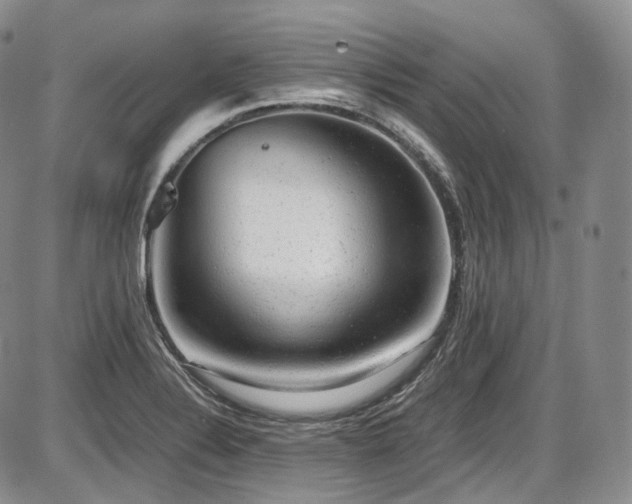 X0000087601324200704271322
